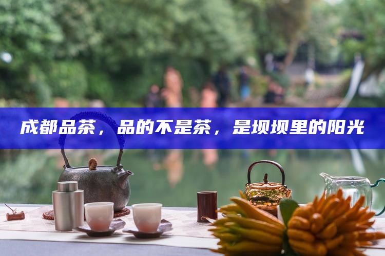 成都品茶，品的不是茶，是坝坝里的阳光