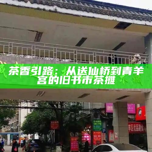 茶香引路：从送仙桥到青羊宫的旧书市茶摊