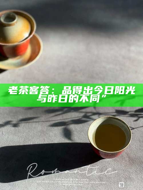 老茶客答：品得出今日阳光与昨日的不同”